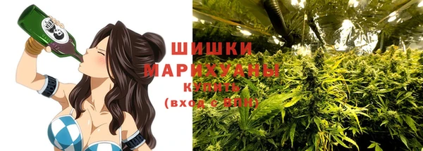 тгк Осинники