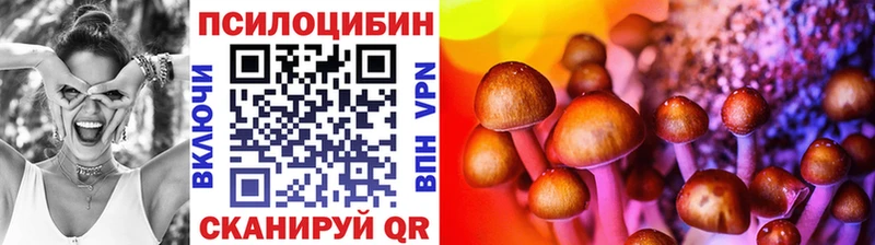 hydra ссылки  Туймазы  Галлюциногенные грибы Psilocybine cubensis 